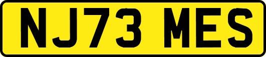 NJ73MES