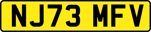 NJ73MFV