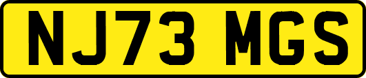 NJ73MGS