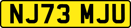 NJ73MJU