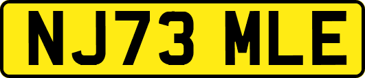 NJ73MLE