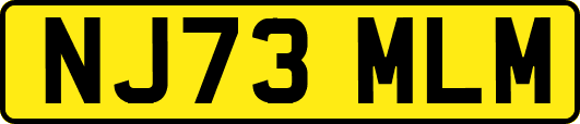 NJ73MLM