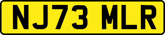 NJ73MLR