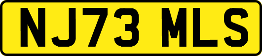 NJ73MLS