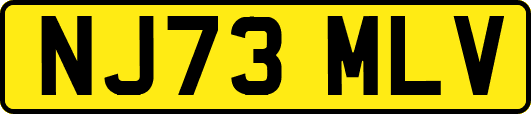 NJ73MLV