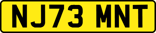 NJ73MNT