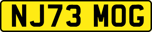 NJ73MOG