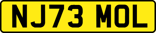 NJ73MOL