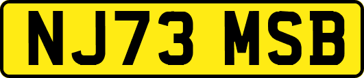 NJ73MSB