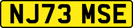 NJ73MSE