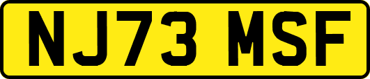 NJ73MSF