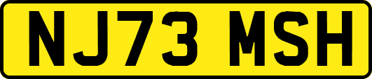 NJ73MSH