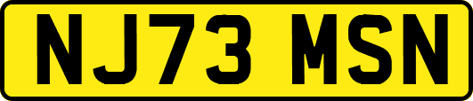 NJ73MSN