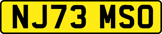 NJ73MSO