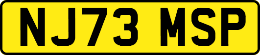 NJ73MSP