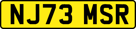 NJ73MSR