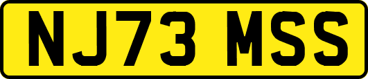 NJ73MSS