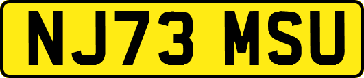 NJ73MSU