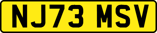 NJ73MSV