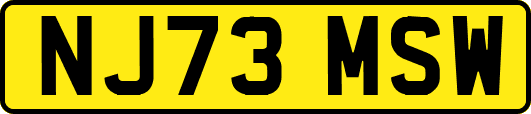 NJ73MSW