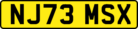NJ73MSX