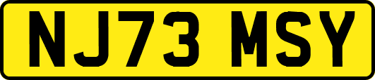 NJ73MSY