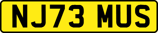 NJ73MUS