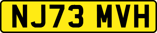 NJ73MVH