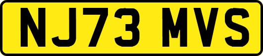 NJ73MVS