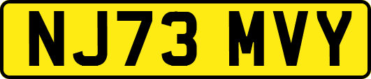 NJ73MVY