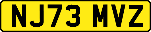 NJ73MVZ