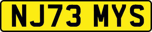 NJ73MYS