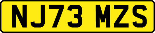 NJ73MZS
