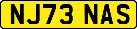 NJ73NAS