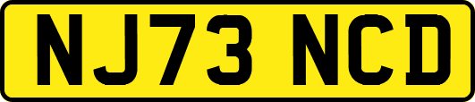 NJ73NCD