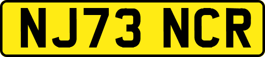 NJ73NCR