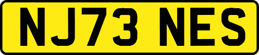 NJ73NES