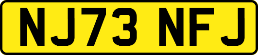 NJ73NFJ