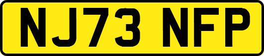 NJ73NFP