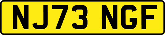 NJ73NGF