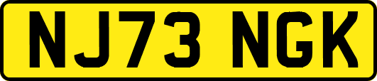 NJ73NGK