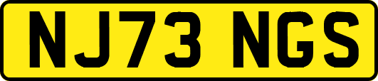 NJ73NGS