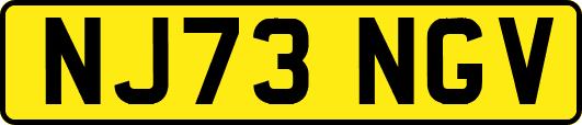 NJ73NGV