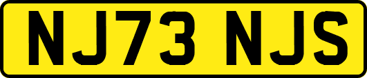 NJ73NJS