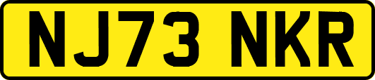 NJ73NKR
