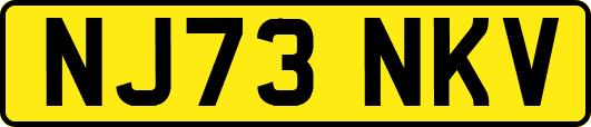 NJ73NKV