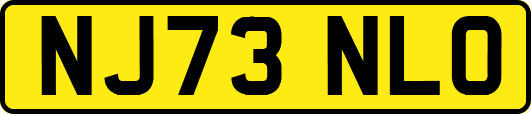 NJ73NLO