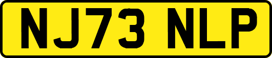 NJ73NLP