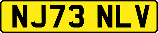 NJ73NLV