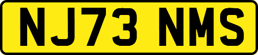 NJ73NMS